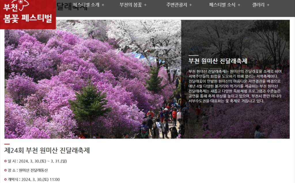 전국 봄꽃 축제